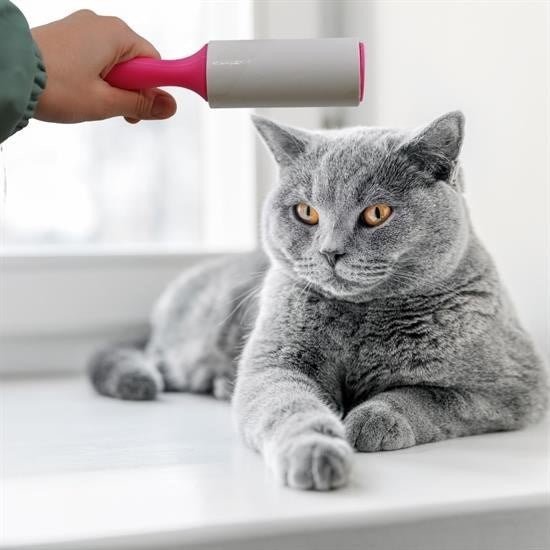 Tekrar Kullanılabilir Yapışkanlı Tüy Toplama Rulo Aparatı - Pawliox