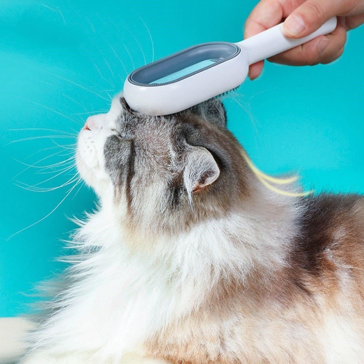 2'si 1 Arada Nemli & Kuru Kullanım Pet Tüy Fırçası - Pawliox