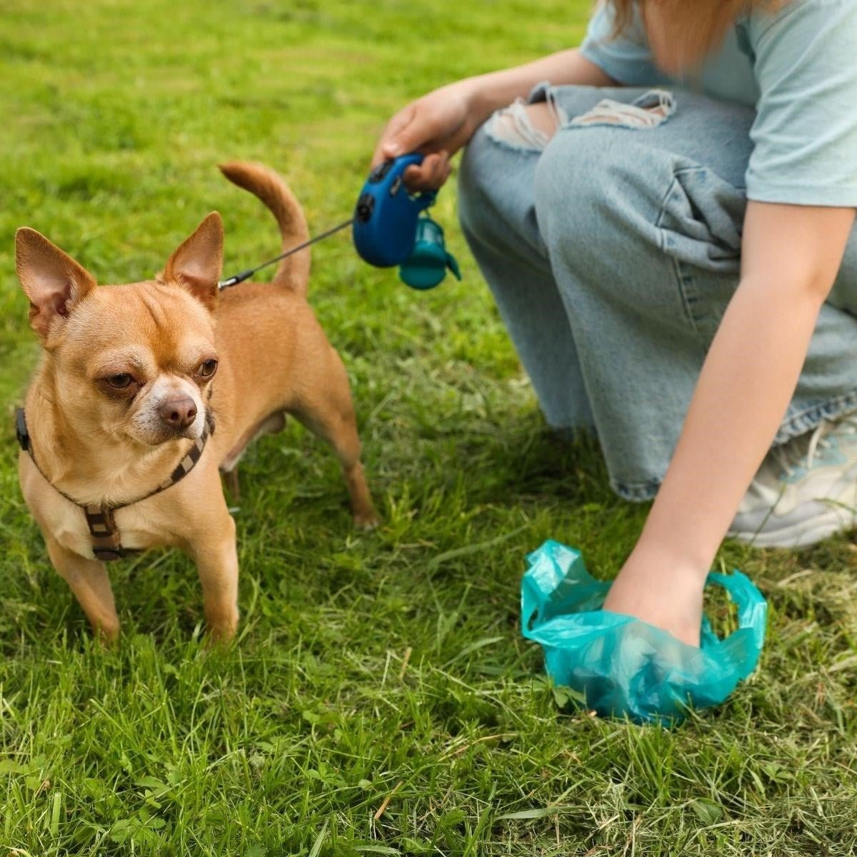 Pratik Kullan - At Evcil Hayvan Kaka Poşetleri - Pawliox